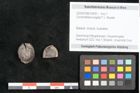 Foto (Objekt + Etikett) von Conchotheca turgida F.V. Mueller (NHMW-GEO-2024-0188-10420)
